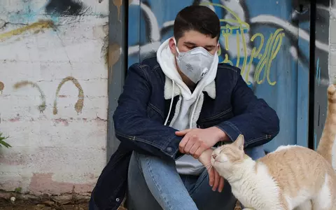 Concluziile unor studii din China și America, privind coronavirusul la animalele de companie: transmit câinii și pisicile COVID-10, la om?