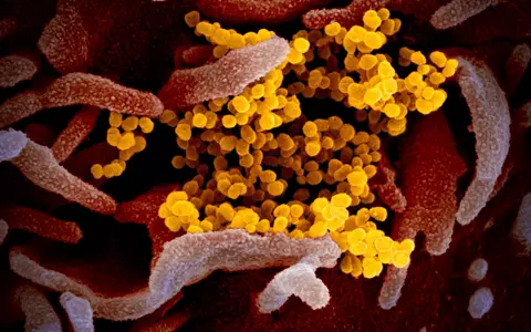 Gena care îi protejează pe români de coronavirus. Cercetătorii belgieni ne dau speranțe în lupta cu COVID-19!