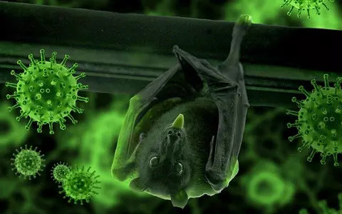 Cercetătorii au descoperit un nou virus, înrudit cu cel care produce infecția COVID-19: "Liliecii sunt rezervoare naturale importante pentru coronavirusuri!"