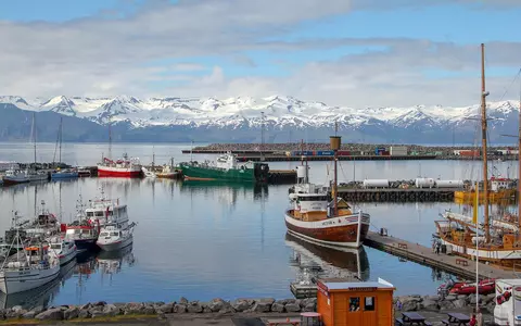 Islanda a învins pandemia COVID-19! Ce măsuri au luat încât au ajuns să aibă cea mai mică rată a mortalității din Europa și cei mai puțini pacienți infectați