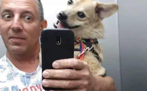 Câinele lui Costin Mărculescu a alertat vecinii:  "Lătra foarte tare, se auzea chiar și din parcare". Maxy era salvat de pe stradă de actor