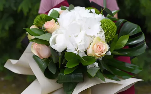 (P) O florarie online din Bucuresti iti dezvaluie detalii inedite despre hortensii!