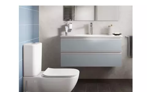 (P) Cum alegi un vas wc potrivit pentru baia ta?