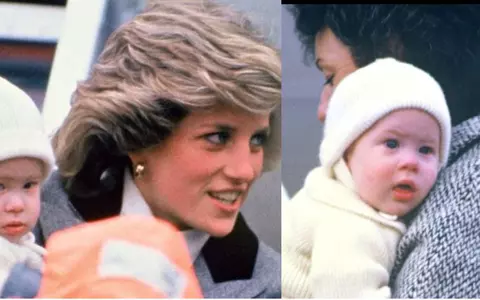 Motivul incredibil pentru care Prințesa Diana a concediat-o pe bona Prinților William și Harry. I-a interzis să-i mai vadă vreodată!