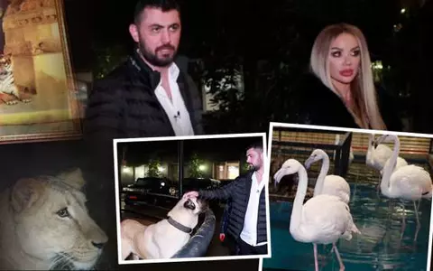 Milionarul Biancăi Drăgușanu are în casă o grădină zoologică: leu, rechin, șerpi și păsări flamingo. Cum arată locuința lui Cengiz Şıklaroğlu