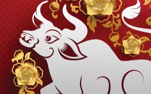 Horoscop chinezesc. Cum ne influențează Anul Bivolului de Metal în 2021