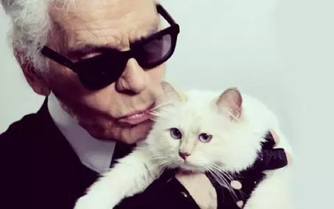 Ce s-a întâmplat cu Choupette, pisica milionară a lui Karl Lagerfeld, la doi ani de la moartea creatorului de modă