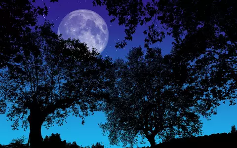 Luna Plină de pe 28 martie: ce să nu faci. Sfaturi pentru toate zodiile