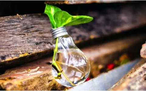 (P) Iluminatul cu LED, un cumul de avantaje în materie  de estetică, eficiență energetică și confort vizual