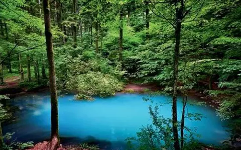 Top 5 cele mai spectaculoase lacuri din România