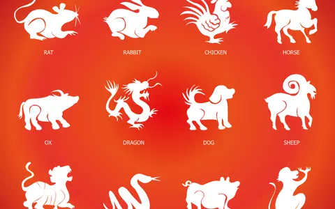 Ce zodie ești în zodiacul chinezesc în funcție de anul nașterii
