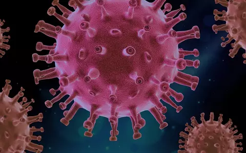 Ce este hantavirusul. Cum se transmite și care sunt simptomele infecției