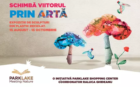 Schimbă viitorul prin artă