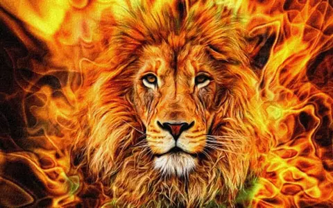 Horoscop 30 septembrie 2021. Racii stau bine cu dragostea, iar Leii...