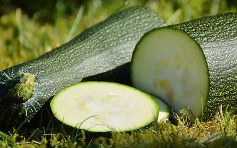 5 motive pentru care să folosești zucchini în dietă