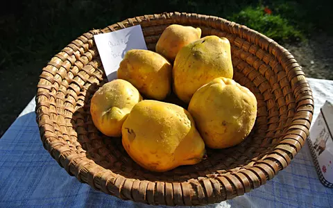 Rețetă dulceață de gutui. Cel mai simplu de preparat