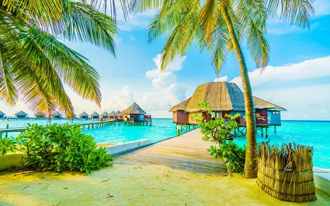 Achiziționează bilete de avion în Maldive și răsfață-ți papilele gustative cu preparate alese!