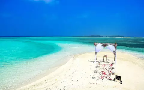Îți dorești o nuntă de vis la malul mării? Iată cele mai importante motive pentru care un Wedding Planner este alegerea perfectă!