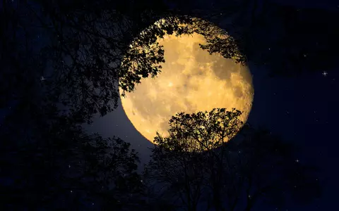 Lună Nouă în zodia Pești pe 2 martie 2022. Cum afectează zodiile