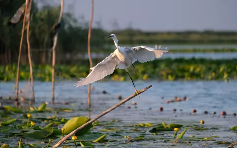 Vacanță de primăvară în Delta Dunării, cu reduceri de până la 65%!