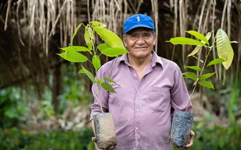 FOREO plantează mii de copaci cu ajutorul clienților săi