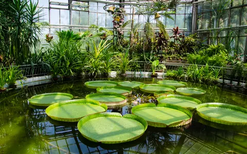 Grădini botanice din România 