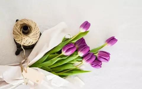 Vrei să îți surprinzi partenera de cuplu, dar ești lipsit de idei? TOP 3 recomandări pe care le poți lua în calcul