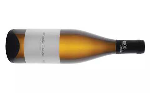 „Vinul tău din via ta”: Sauvignon Blanc 2021 de la Crama „1000 de Chipuri” / De ce să cumperi doar o sticlă, când poți avea tot butașul?