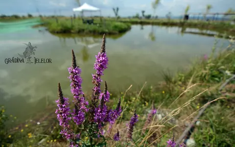 Reîncarcă-ți bateriile în cel mai nou loc de glamping din Romania