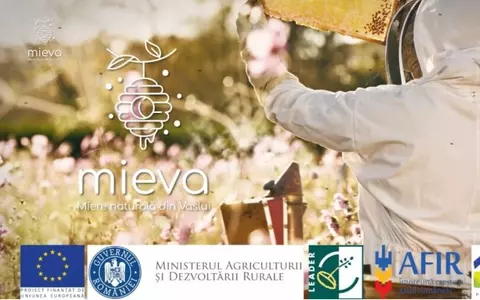5 motive să cumperi miere naturală