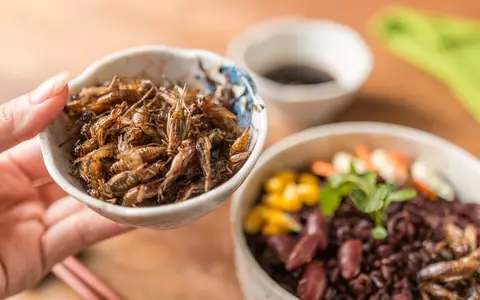 Insecte comestibile