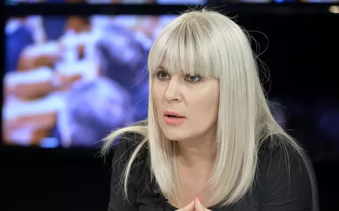 Elena Udrea, la spital după o colică renală. Între timp, fostul ministru a revenit la penitenciarul Târgșor