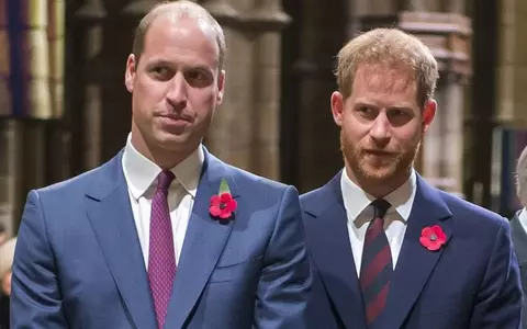"A dat cu mine de pământ". Prințul Harry susține că a fost lovit de fratele său, William