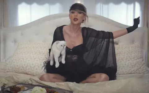 Pisica lui Taylor Swift are o avere de 97 de milioane de dolari. Ce rasă este felina
