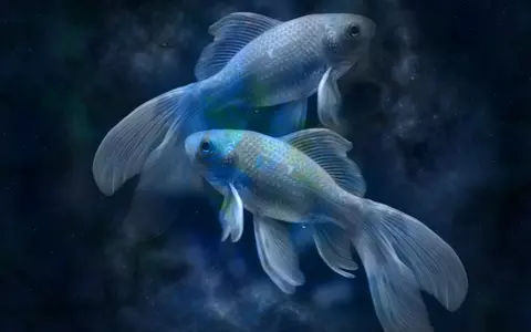 Horoscop 19 februarie 2023. Nativii care trebuie să fie atenți la anturaj