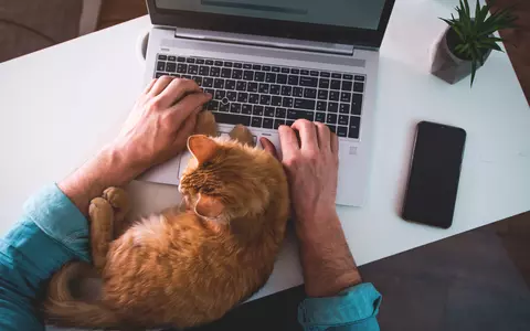 Cum alegi animalul de companie potrivit pentru tine