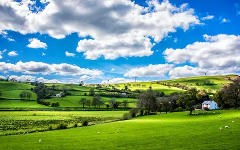 TOP 3 avantaje ale vieții la țară