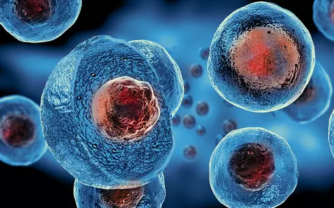 Ce sunt celulele stem?