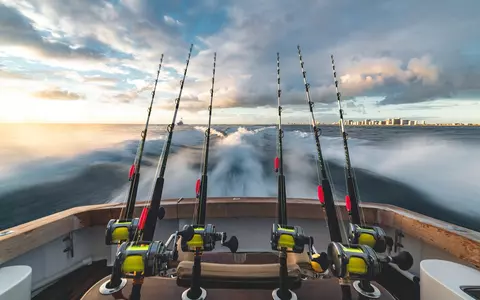 Top 10 cele mai scumpe hobby-uri!