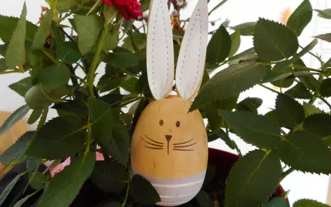 De unde vine tradiția Iepurașului de Paște