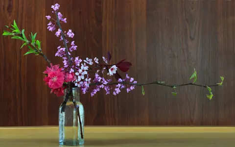 Ce este Ikebana