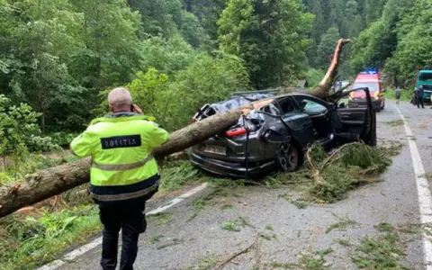 Furtunile fac prăpăd în România. O femeie a murit pe Transalpina după ce un copac a căzut peste mașina ei