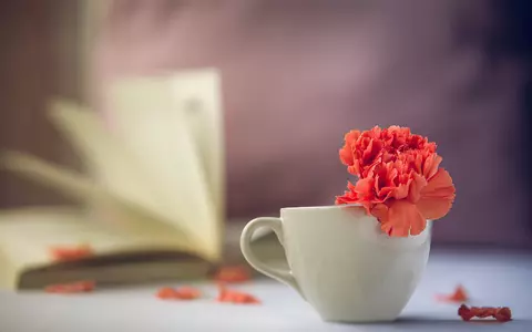 Horoscop 18 septembrie 2023. Două zodii care depășesc greutățile