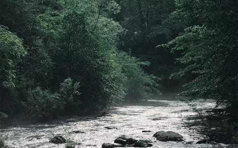 Ivatherm accelerează proiectele de sustenabilitate și va avea ambalaje100% din surse reciclate sau biodegradabile până în 2030