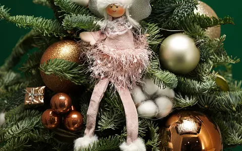 Trucuri pentru ca bradul natural de Crăciun să reziste mai mult timp în casă