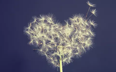 Horoscop 30 decembrie 2023. Capricornii își ating scopul, dar atrag invidia celor din jur