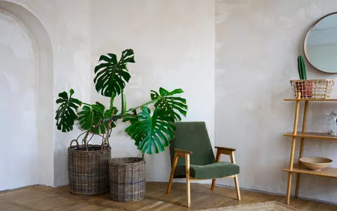 5 pași pentru aplicarea perfectă a tencuielilor decorative în interiorul casei tale