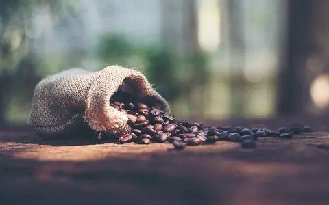 Beneficiile pentru sănătate ale consumului de cafea de specialitate: Mit sau Realitate?