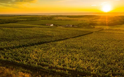 Manifestul noii generații din industria vinului - Prowein 2024