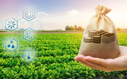 Cum să asiguri succesul întreprinderilor mici și mijlocii în agricultură: studii de caz